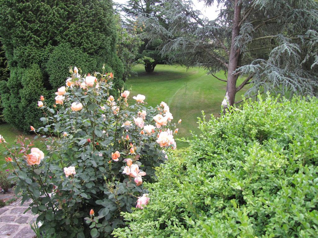 Gite Broceliande Villa Baulon Room photo